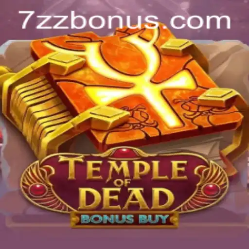 7zz Casino App